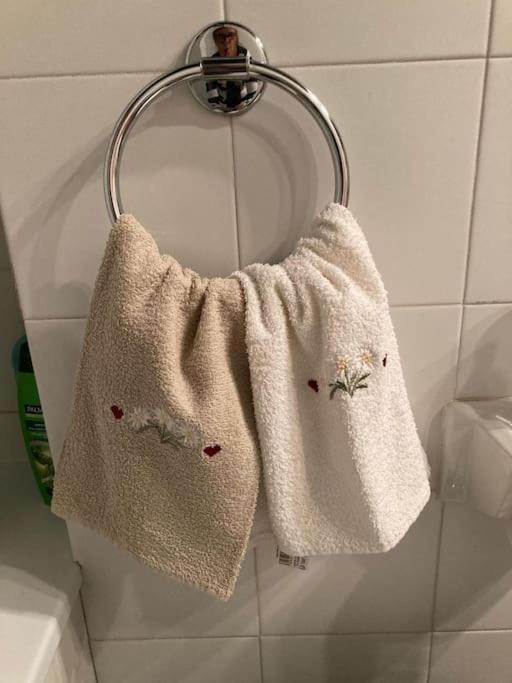 Appartamento Ampio Giardino Adiacente Piste Sci 4/6 Posti Letto لا تْويلي المظهر الخارجي الصورة